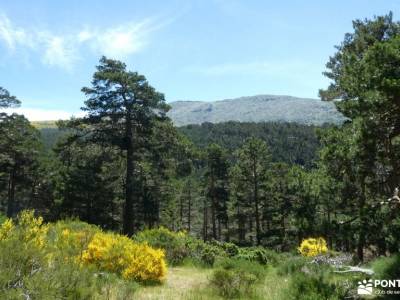 Chorranca y Silla del Rey, Cerro del Moño de la Tía Andrea;pueblos con encanto madrid amistades ruta